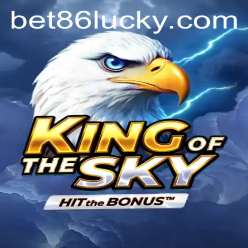 King Of The Sky: A Dynamic Gaming Experience